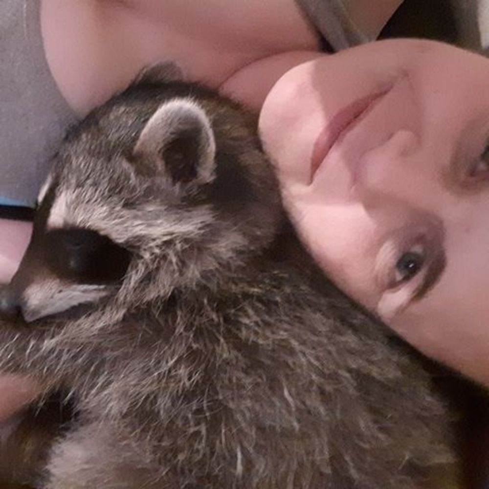 Meet your Posher, Amy